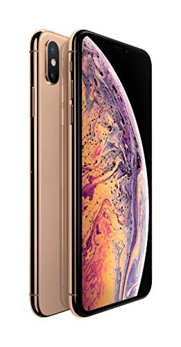 Apple iPhone Xs Max (Gold, 4GB RAM, 64GB Storage, 12 MP Dual Camera, 458 PPI Display)