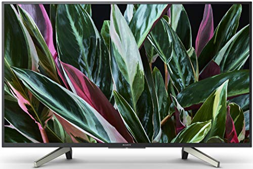 Sony Bravia 123 cm (49 Inches) Full HD Certified Android Smart LED TV KDL-49W800G (Black) (2019 Model)