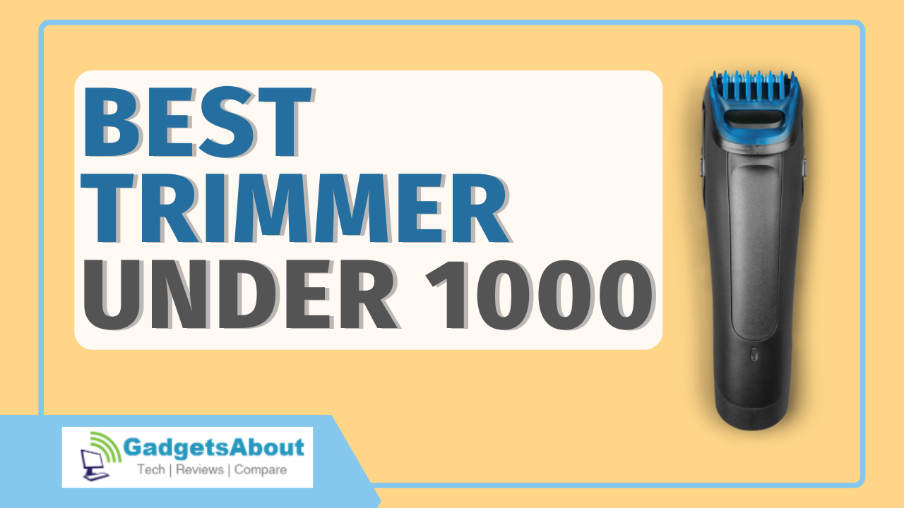 Best Trimmer under 1000