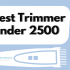 Best Trimmer under 1000