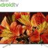 Samsung Series 6 138cm 55 inch Ultra HD 4K reviews and best buy price in India
