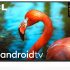 Samsung 138 cm (55 Inches) Wondertainment Series Ultra HD LED Smart TV Review and its Best Price in India